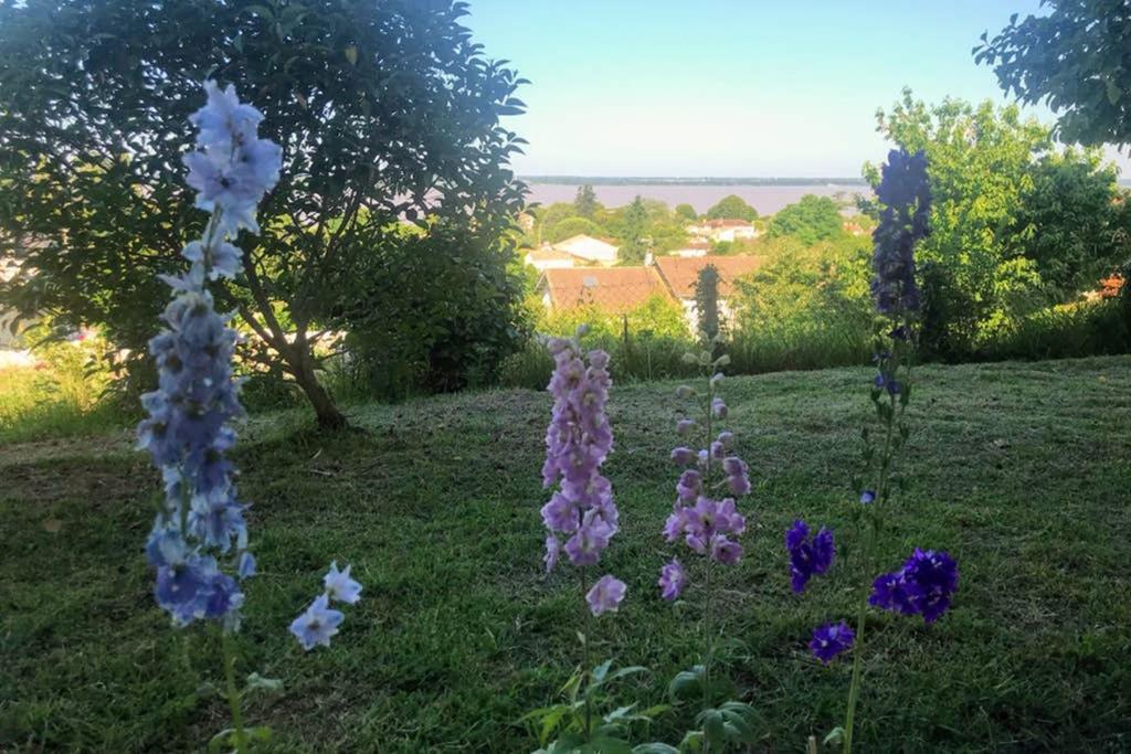 Appartement Avec Vue Panoramique Sur L'Estuaire De La Gironde Plassac  Esterno foto