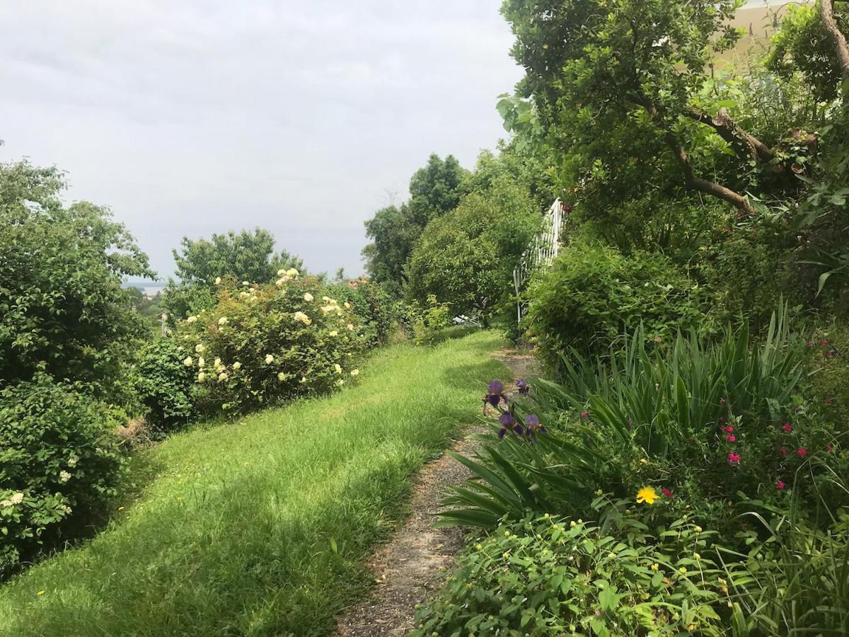 Appartement Avec Vue Panoramique Sur L'Estuaire De La Gironde Plassac  Esterno foto
